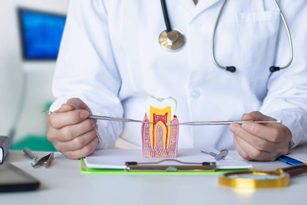 Best Emergency Dentist for Lost Fillings or Crowns in Wailea, HI